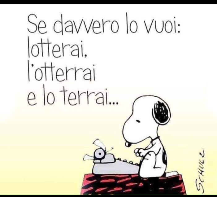 Auguri