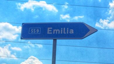 TRA LA VIA EMILIA E IL NORD EST